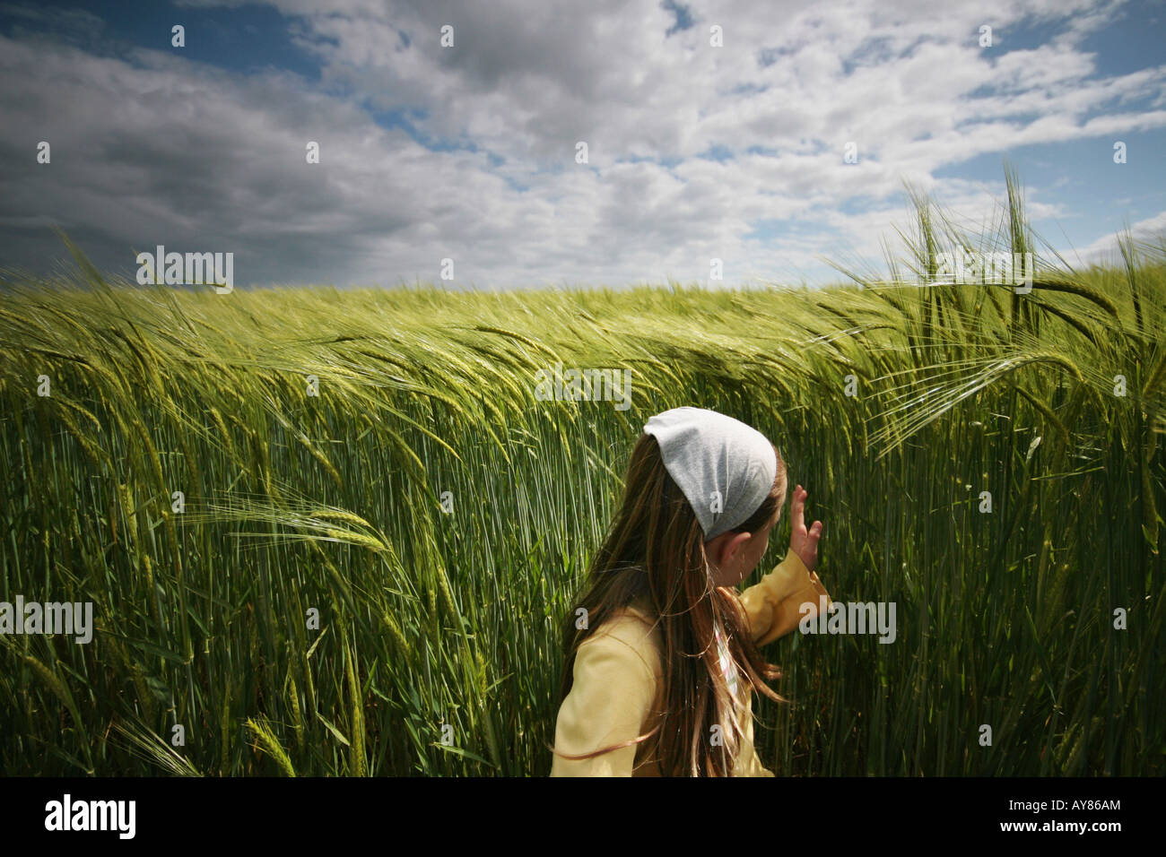 girl in field Stock Photo