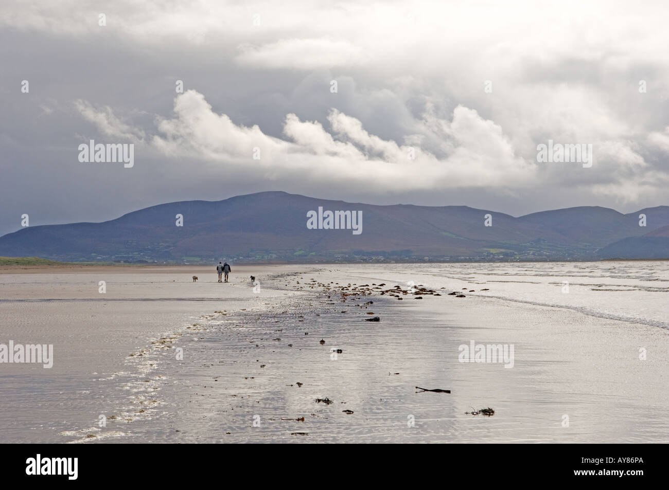 Inch Strand, County Kerry, Ireland.  Man woman and dog on beach with the mountains of the Ring of Kerry behind. Rainy day. Stock Photo