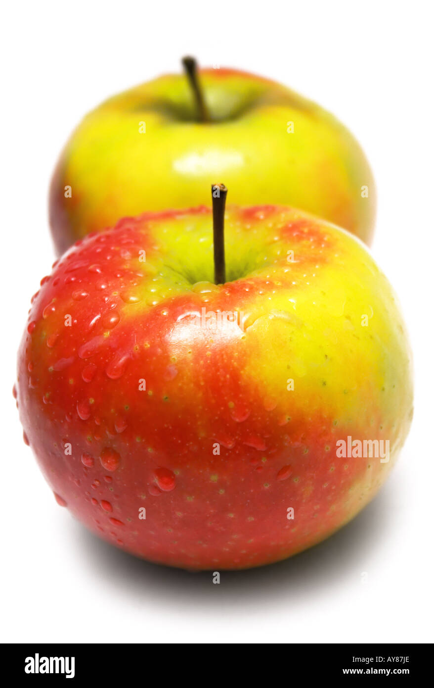 Two Colorful Apples w/ Waterdrops Stock Photo