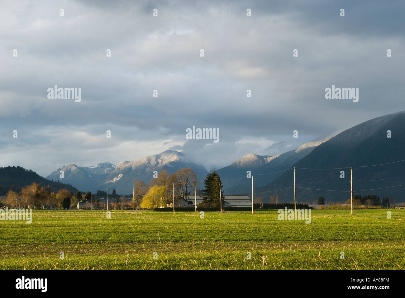 Farm field with a stormy sky in the distance Abbotsford Canada Stock Photo