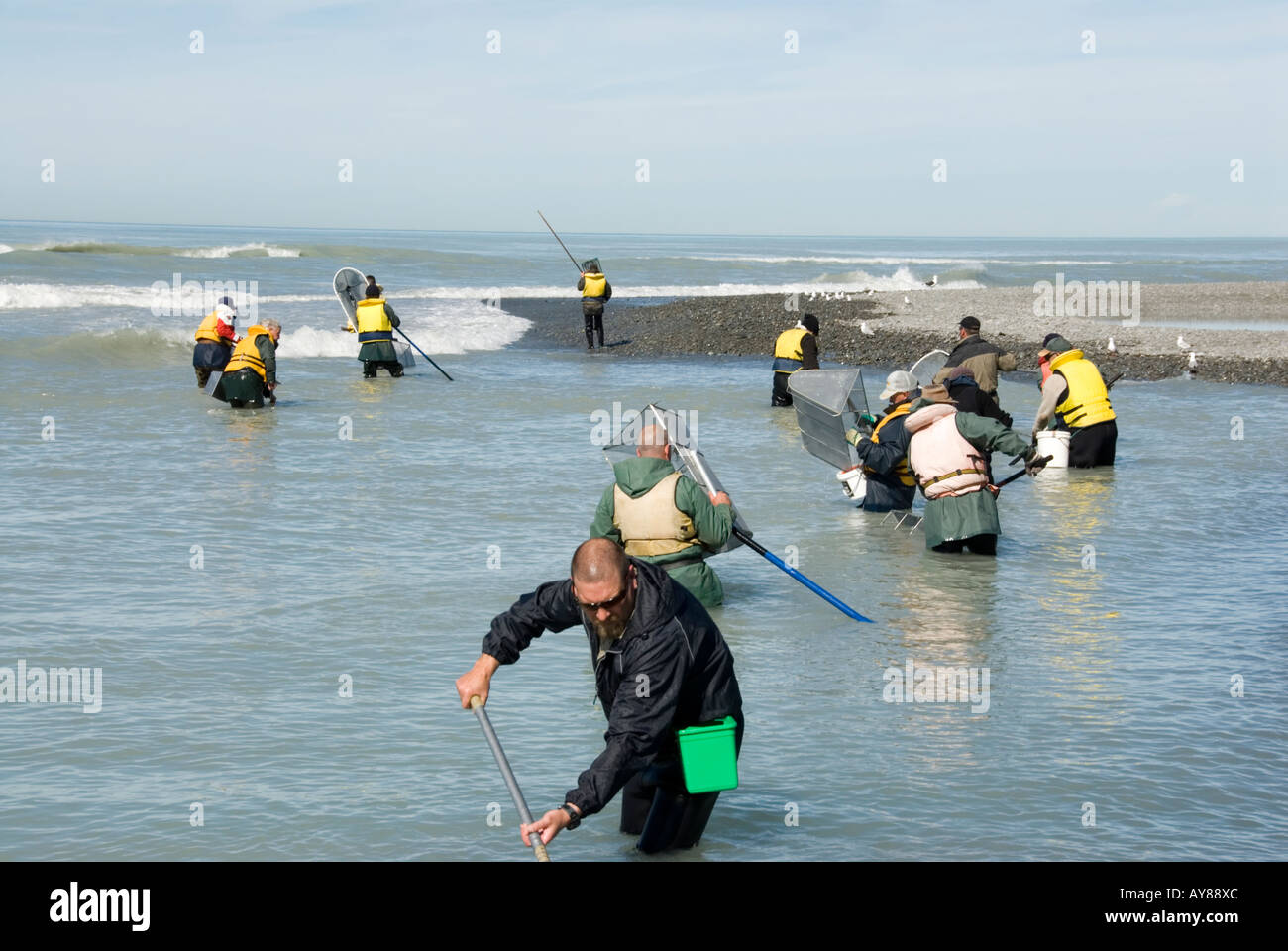 Whitebaiters working their nets at Rakaia Huts at  the mouth of the Rakaia river New Zealand Stock Photo