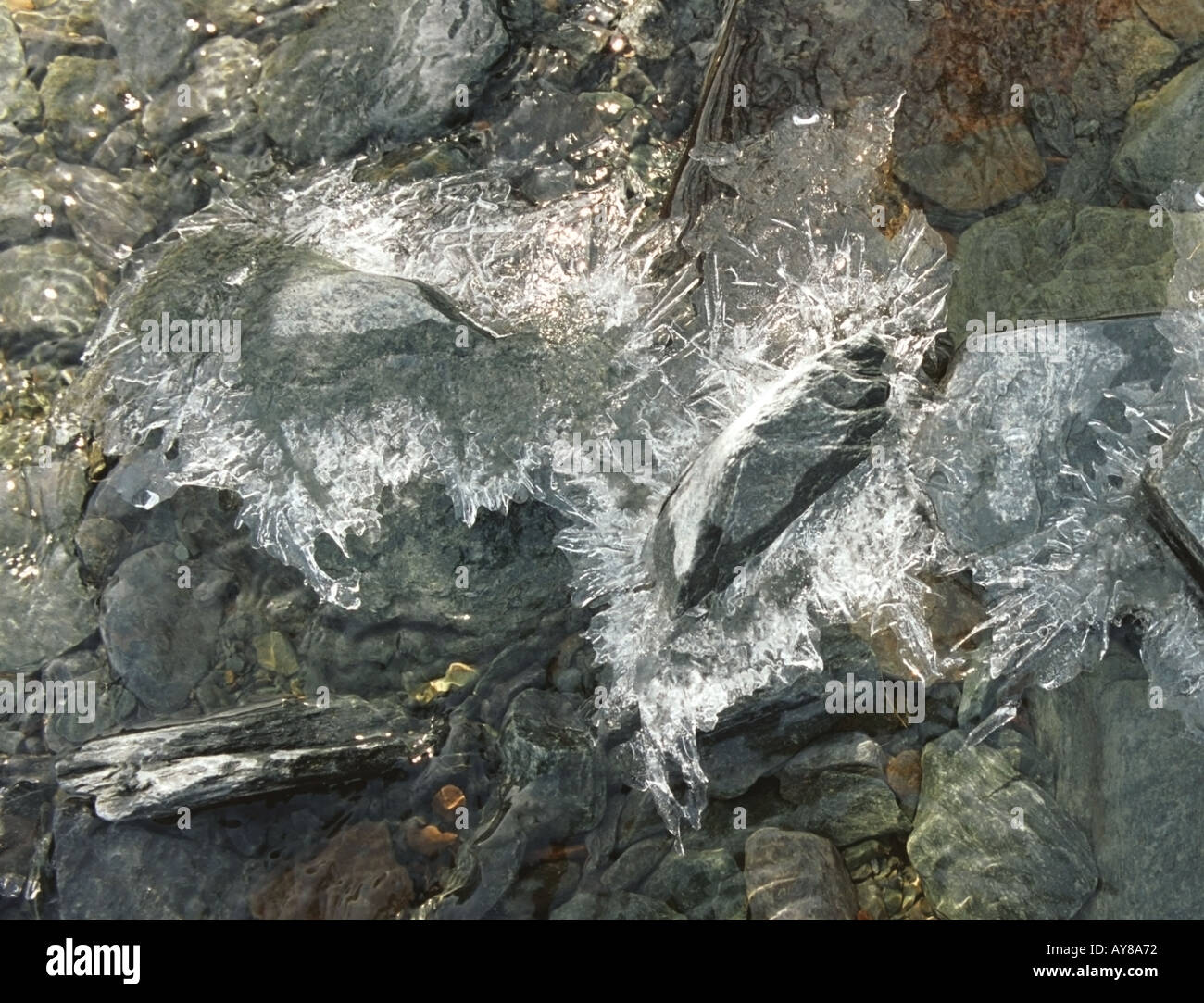 Brook Using Ice Brook covered ice altai hi-res stock photography and images - Alamy