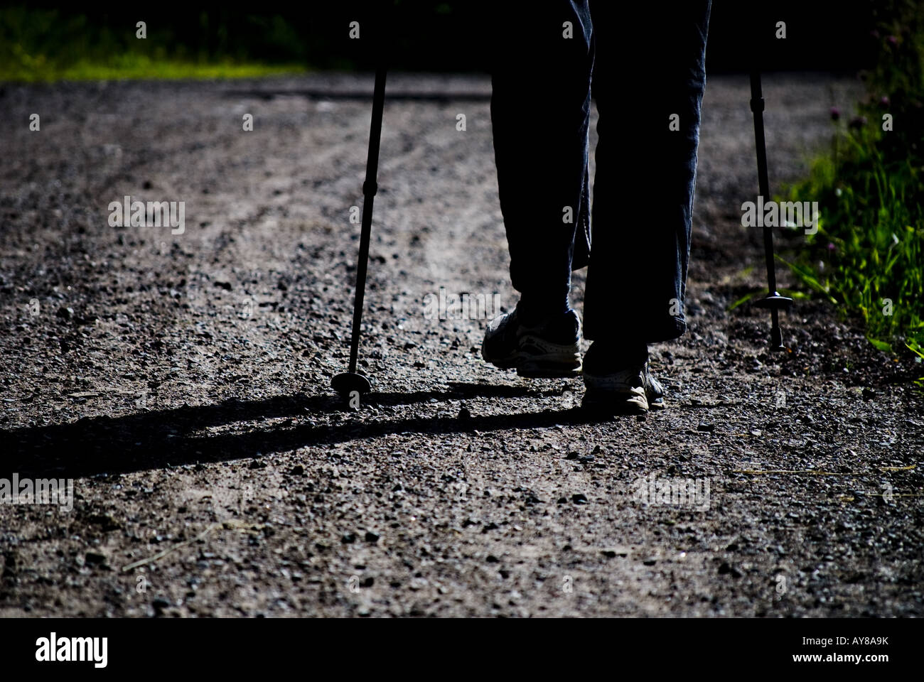 Senior man with walking poles hi-res stock photography and images - Alamy