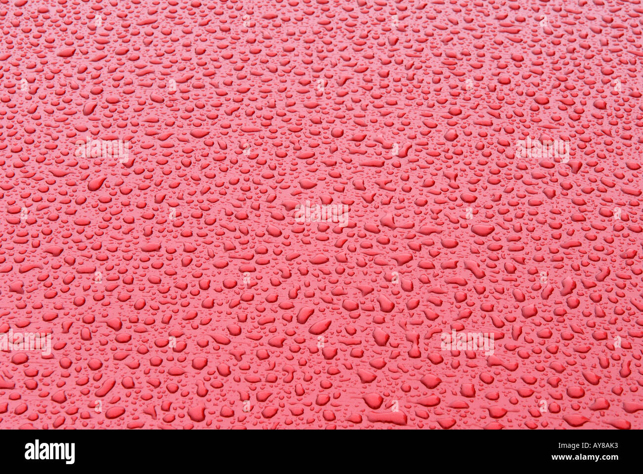 Rain Drops on PAINTED Surface Stock Photo Alamy