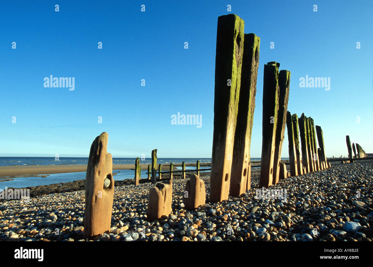 old breakwaters groynes Pett Level Winchelsea Beach East Sussex UK