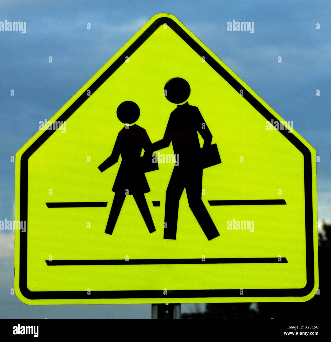 Vertical color image of a school crossing ahead street sign against a
