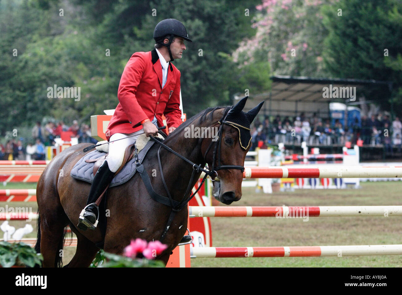 equestrian on horse at horse jumping competition Stock Photo