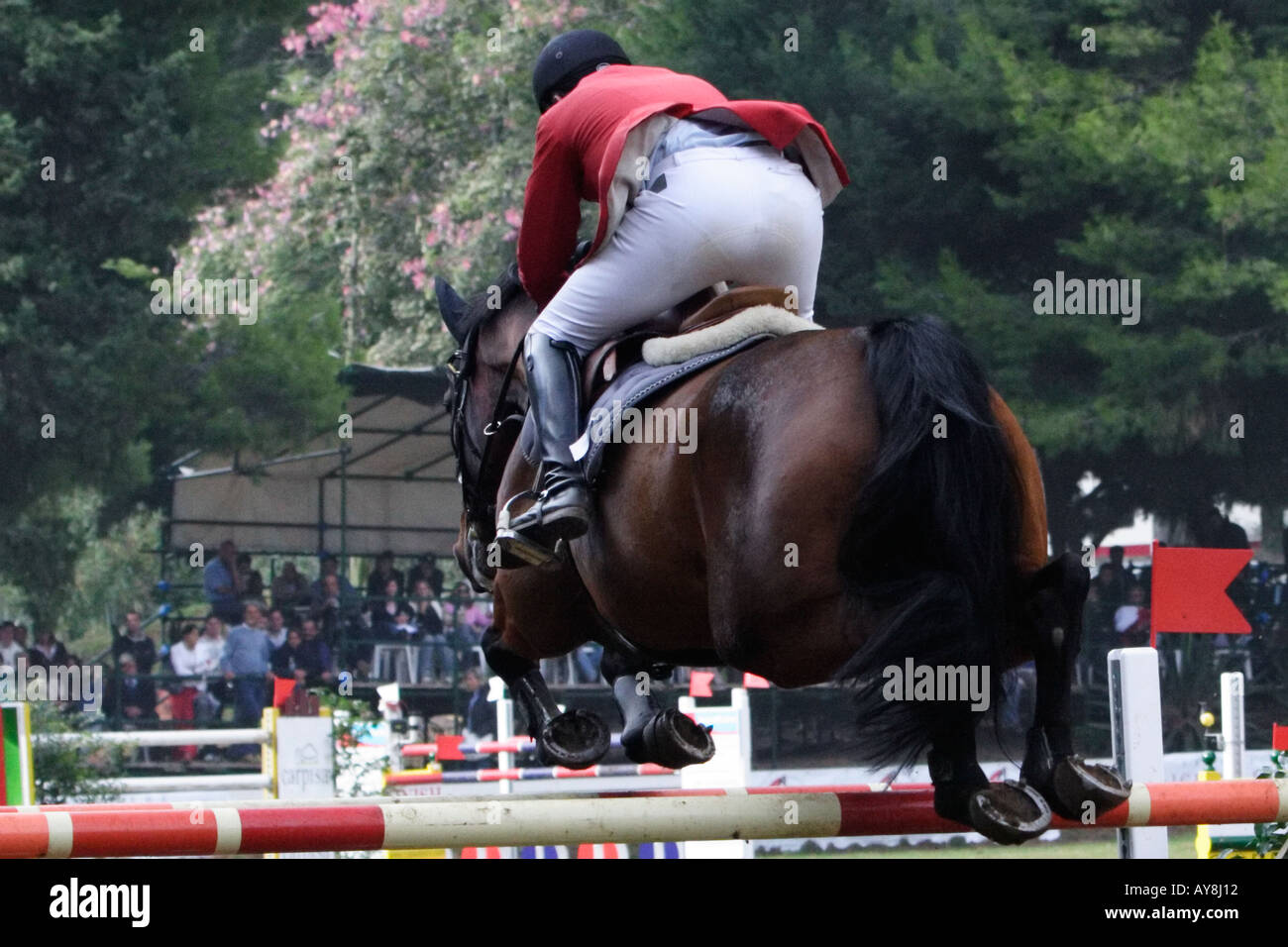 horse and rider jumping over obstacle during equestrian competition Stock Photo