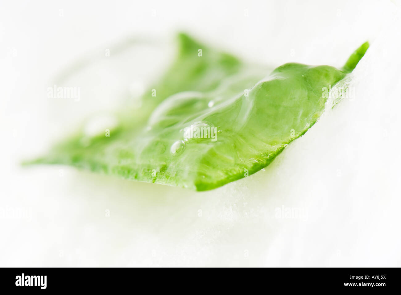 Sliced aloe vera leaf and gel, close-up Stock Photo