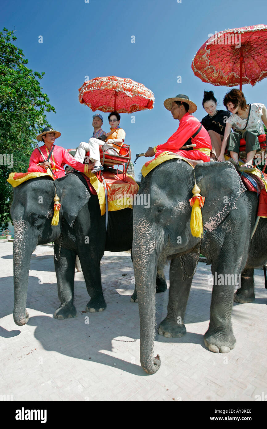 Tourists riding costume elephants view ancient temple site Ayutthaya