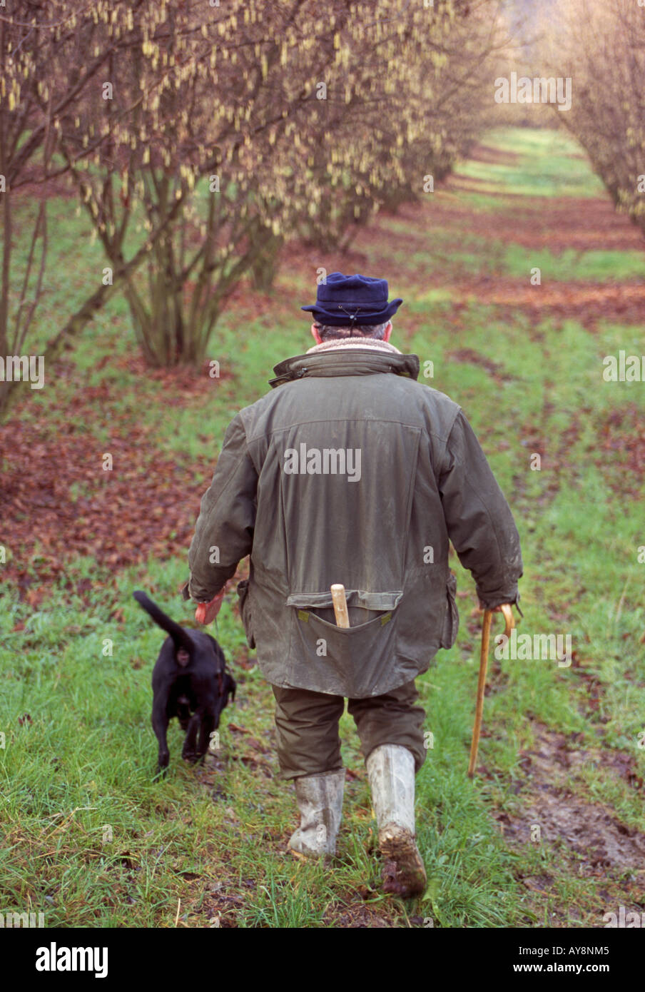 Truffle hunt hires stock photography and images Alamy