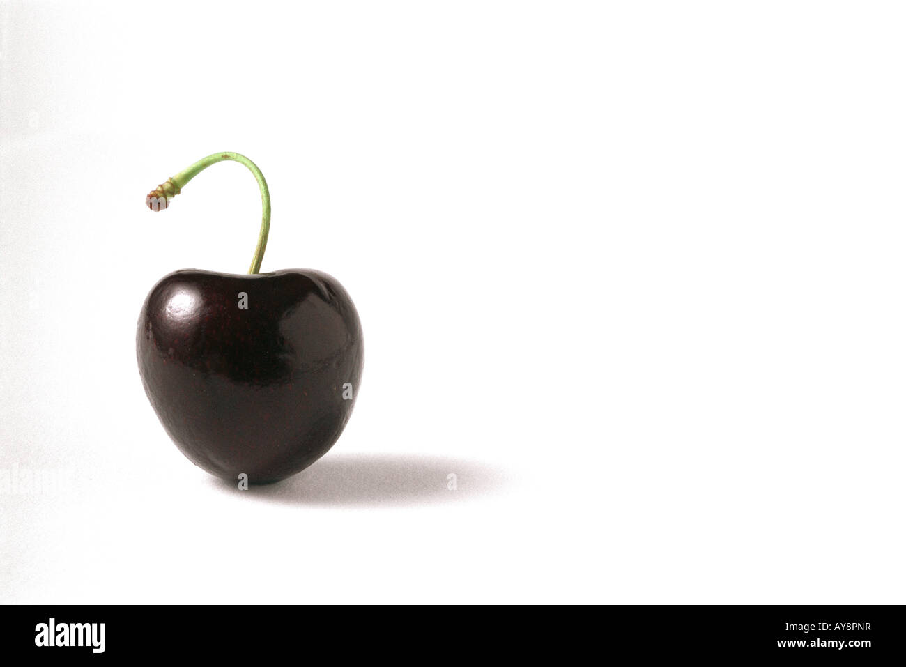 Black cherry, closeup Stock Photo Alamy