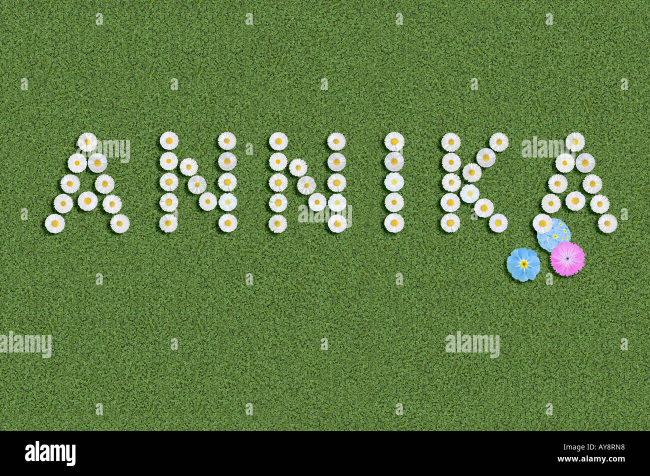 Annika first name girl written illustration Stock Photo - Alamy