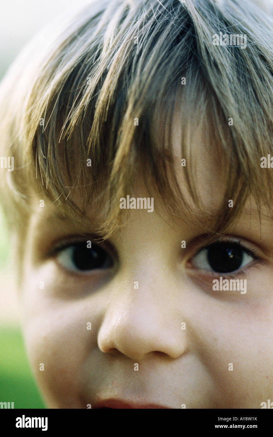 Little boy looking at camera, portrait, cropped Stock Photo - Alamy