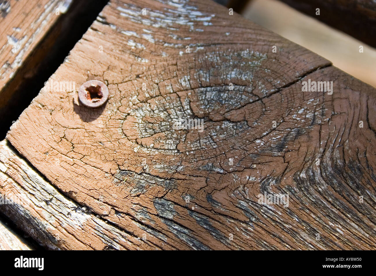A rusty screw in a weatherbeaten wooden bench, Cardiff, UK. Stock Photo