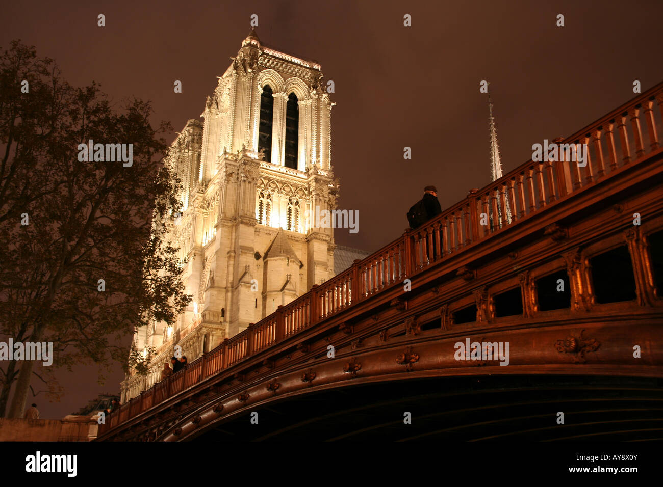 Paris by night - Notre-Dame cathedral and Pont au Double Stock Photo