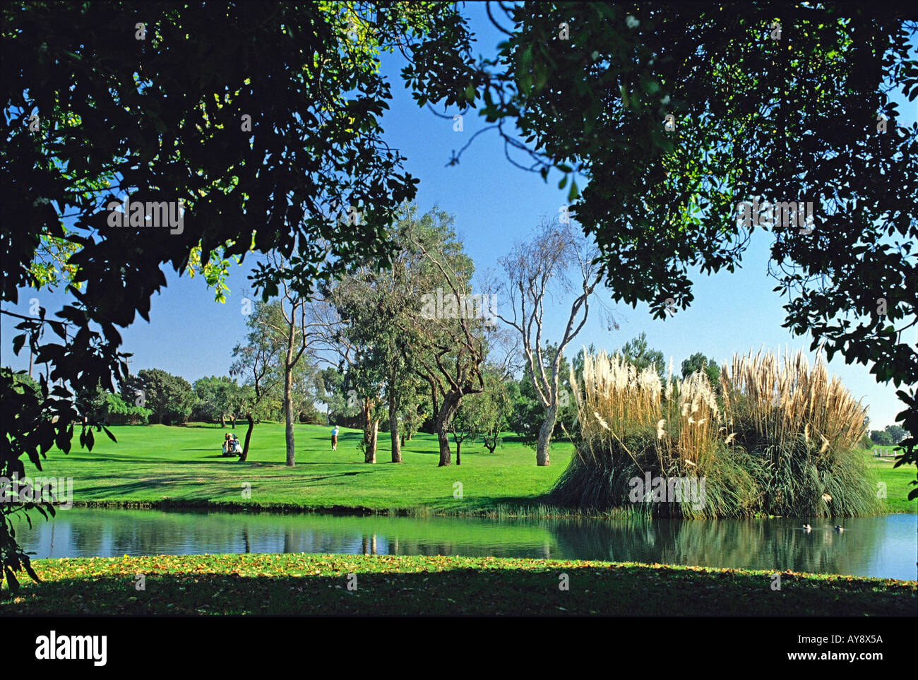 Sea Cliff Country Golf Club, Huntington Beach, CA Golf trees water pond  bunker green flag flagstick golf hole activity Stock Photo - Alamy