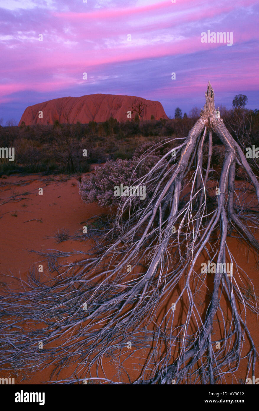 Ayers Rock Uluru Northern Territory Australia Stock Photo