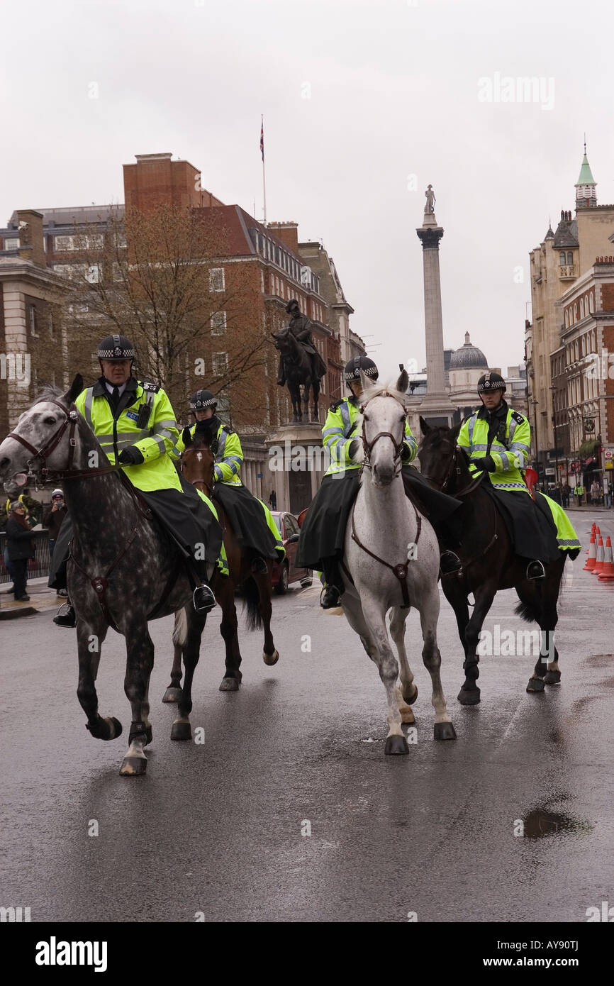 Mounted Police charge down Whitehall moments before Olympic Torch arrives Stock Photo