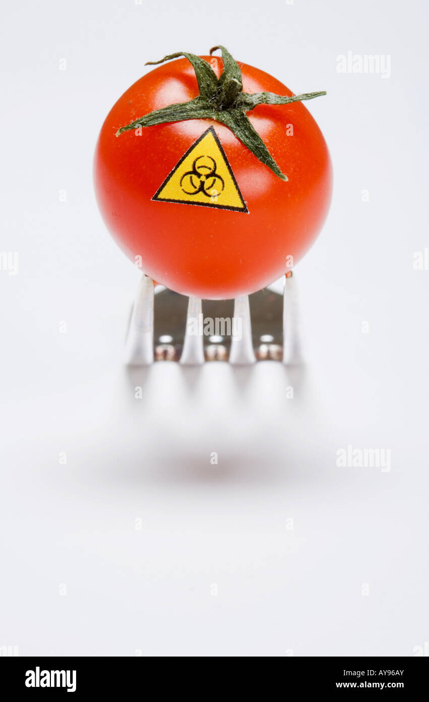 Biohazard warning sign on tomato on a fork Symbol genetic manipulated ...