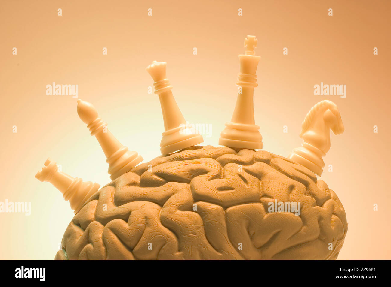 Chess Pieces on Human Brain Stock Photo