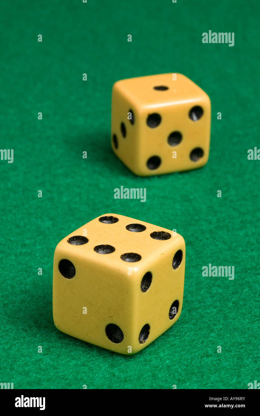 49ers gambling odds Casino statistics 2012