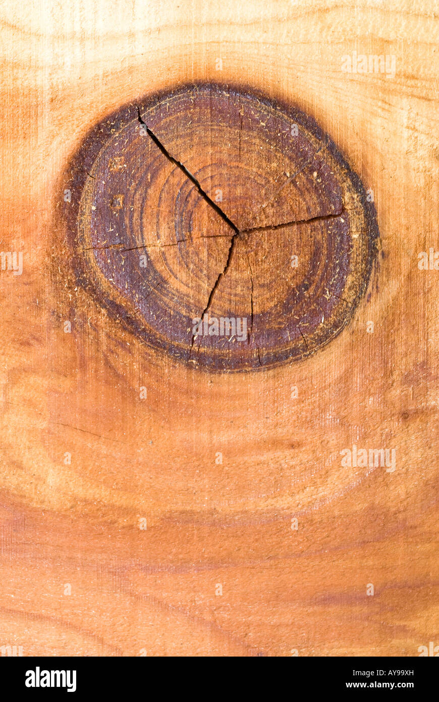 A wood knot and redwood board shows the natural patterns in this wood