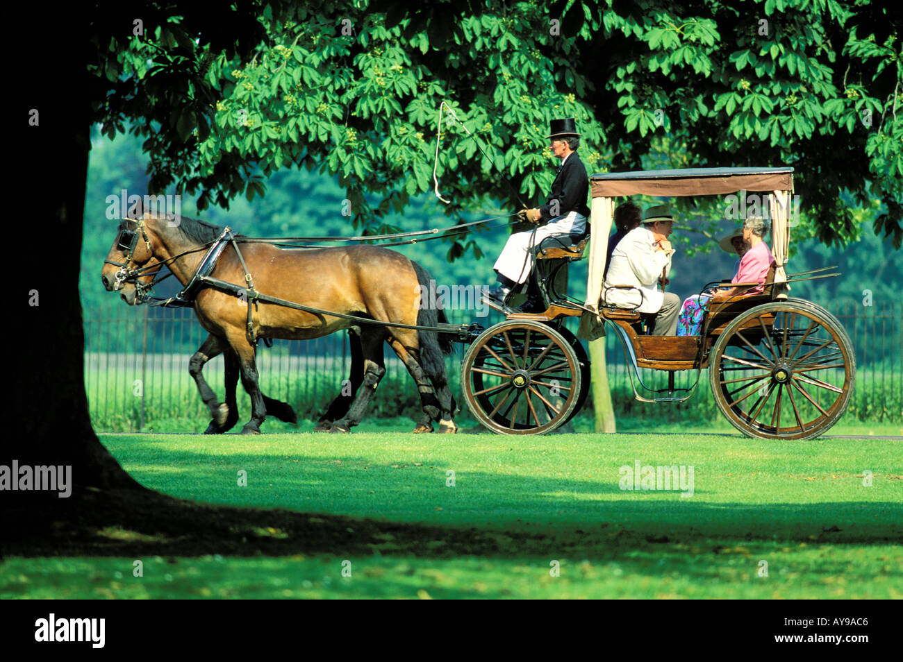 Carriage in the park Windsor Berkshire England UK Europe Stock Photo