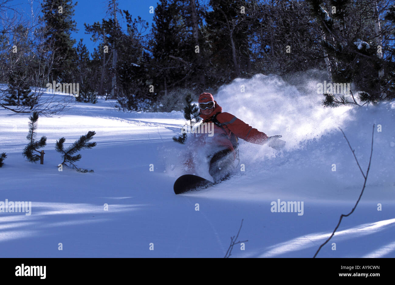 Snowboarding action soldeu canillo andorra hires stock photography and