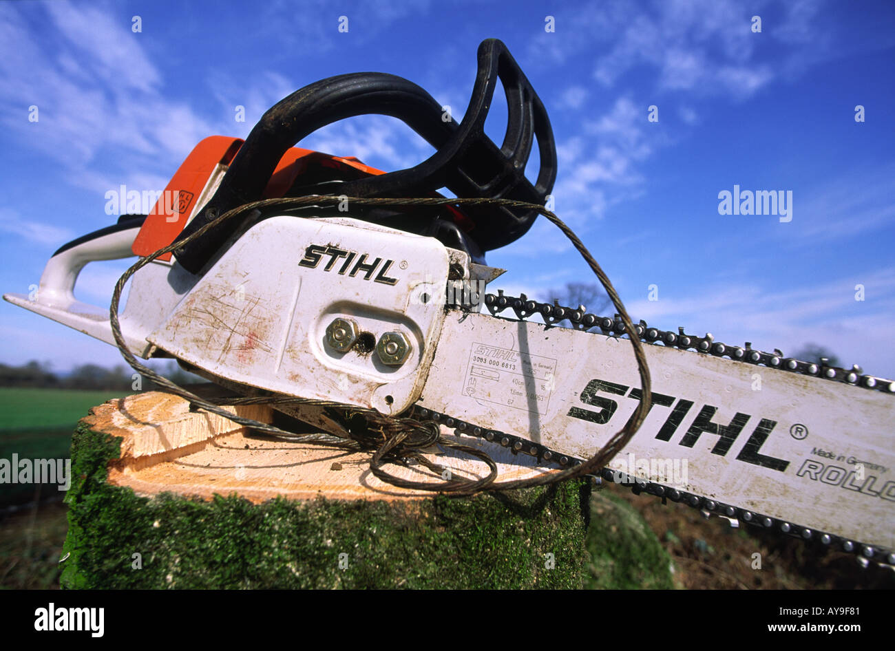 Stihl chainsaw plant hi-res stock photography and images - Alamy