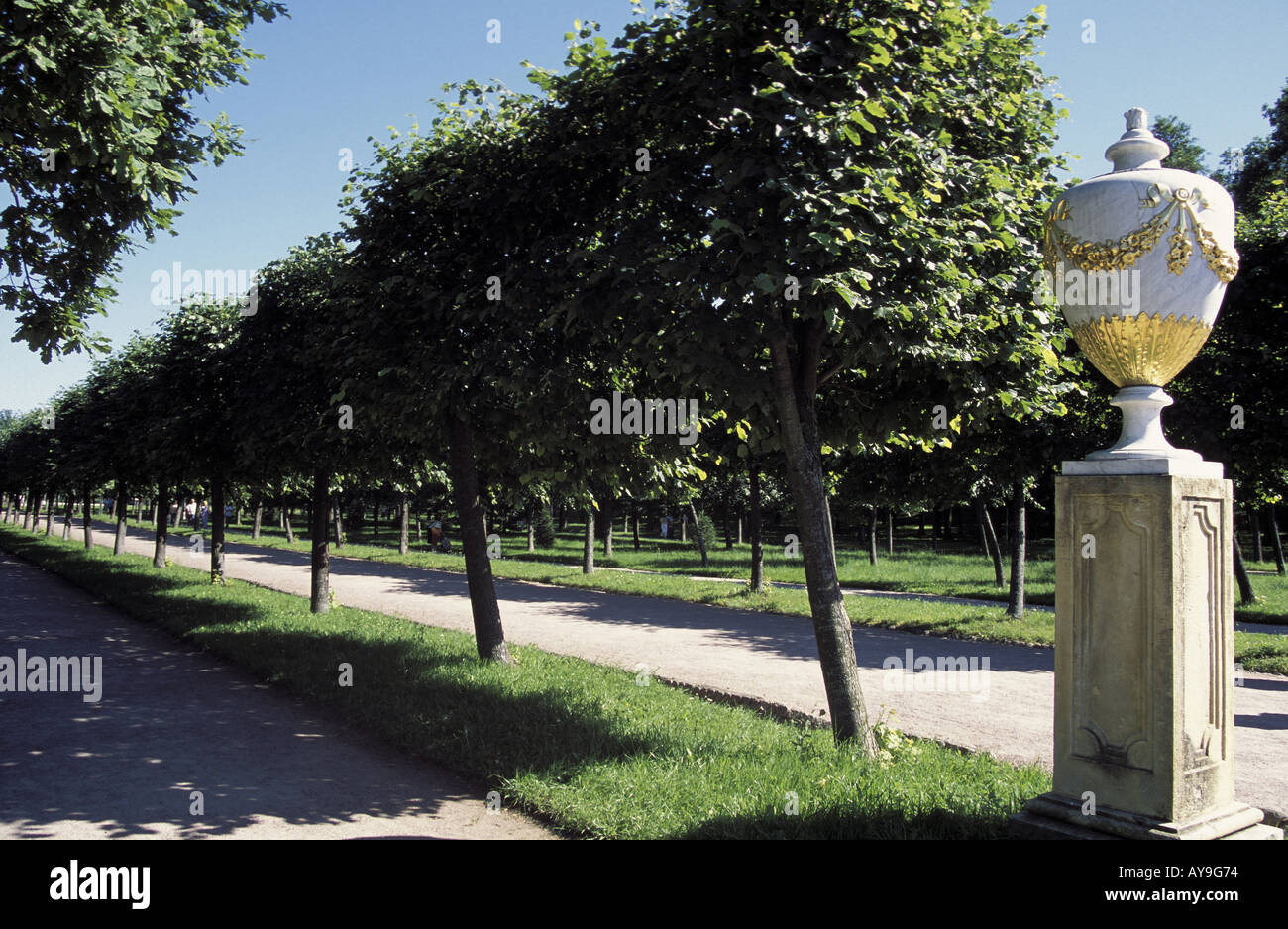 St Petersburg Gartenanlage im Peterhof Petrodworets Stock Photo Alamy