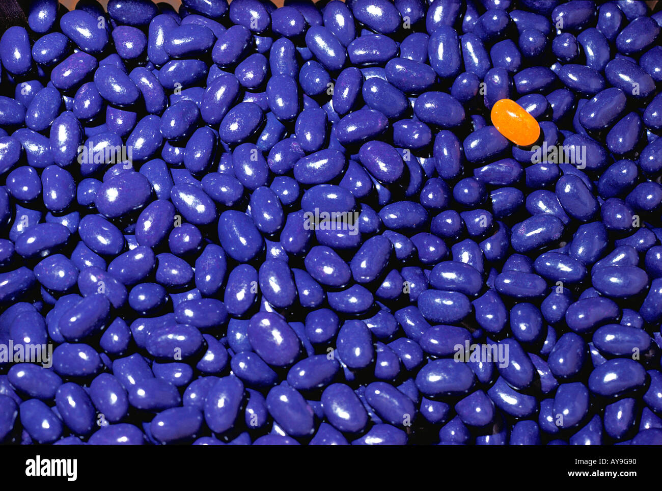 Close up of blue jellybeans with one yellow jellybean makes a striking pattern Stock Photo