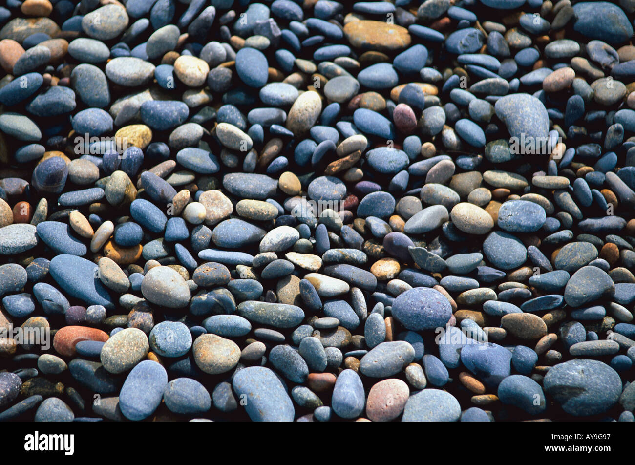 Stones shaped by the ocean waves making an abstract pattern on the beach after a storm in a group pattern caused by nature Stock Photo