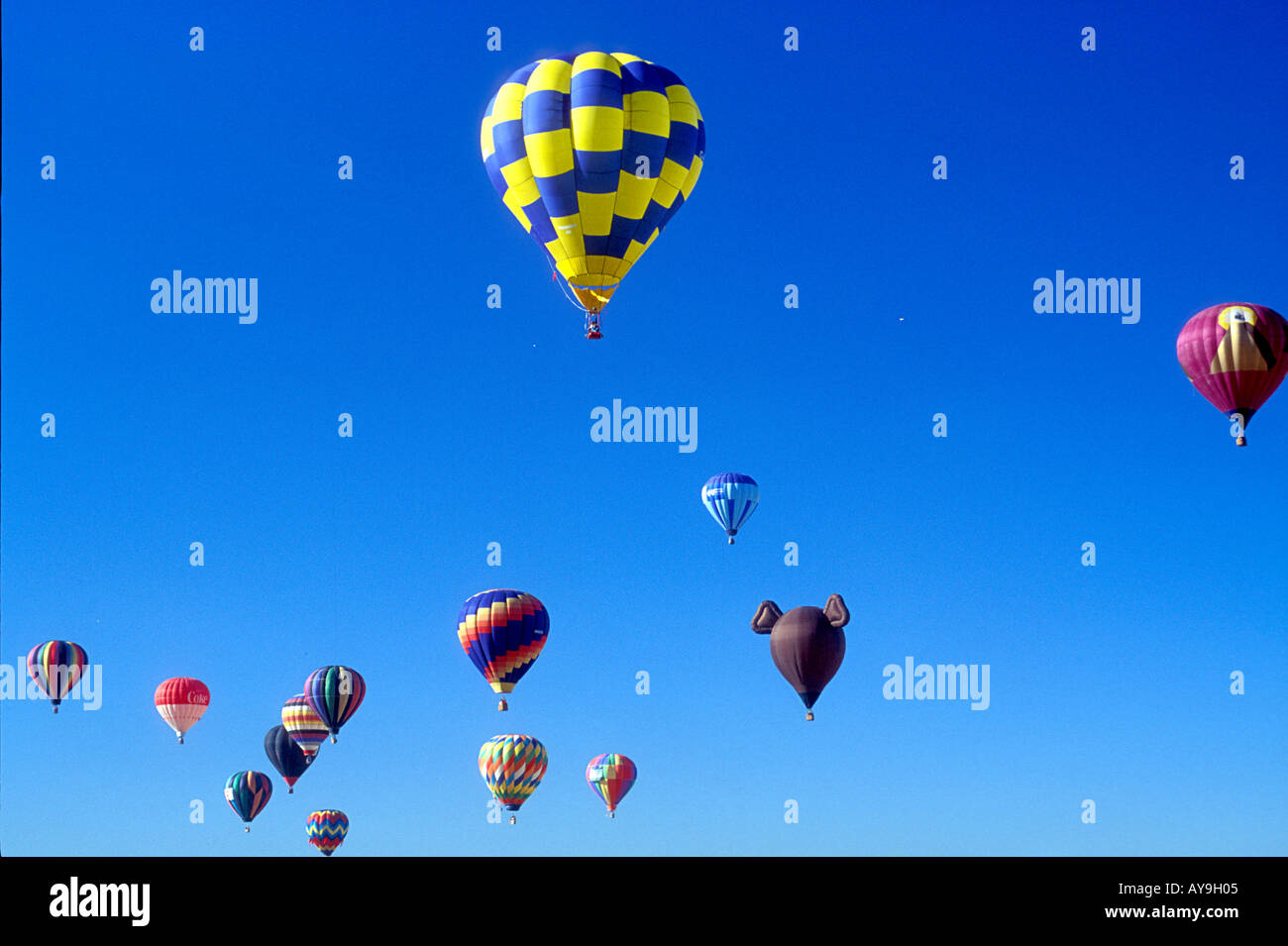 albuquerque-hot-air-balloon-festival-new-mexico-usa-us-hot-air-balloons