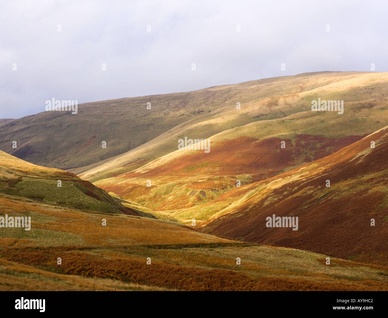 Ochil hills autumn fall valley hires stock photography and images Alamy