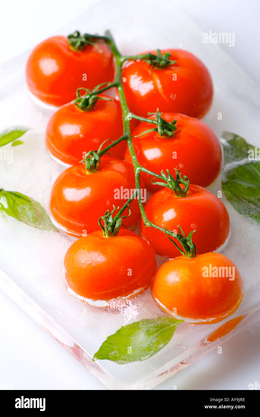Tomato and basil in ice Stock Photo Alamy