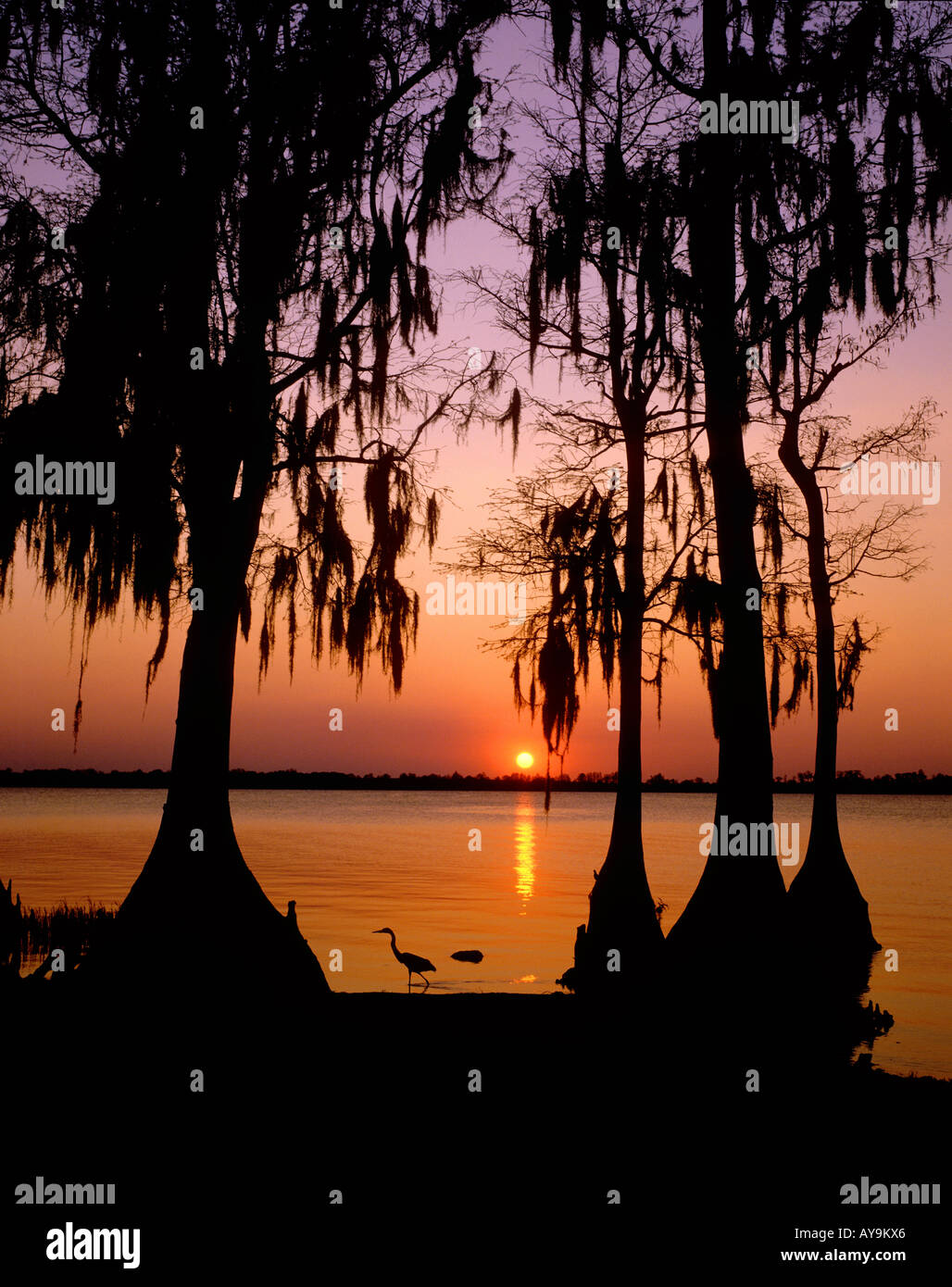 Cypress gardens florida hires stock photography and images Alamy
