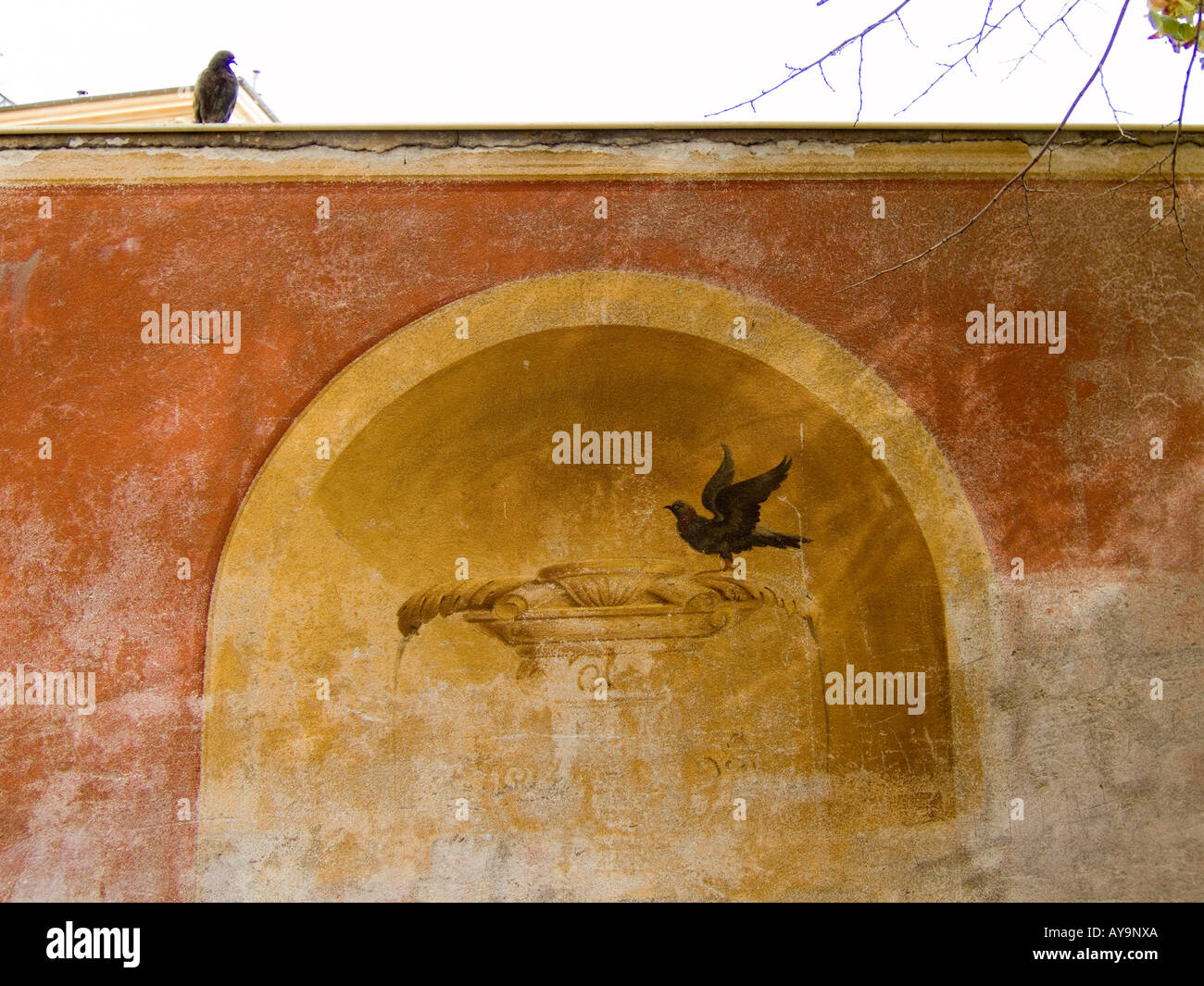 On a wall in the Cours Saleya market in Nice  - a real bird and a trompe l'oeil bird at a fountain Stock Photo