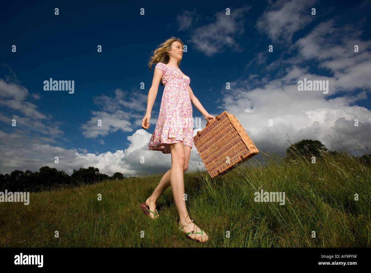 Woman on summer picnic with hamper Stock Photo