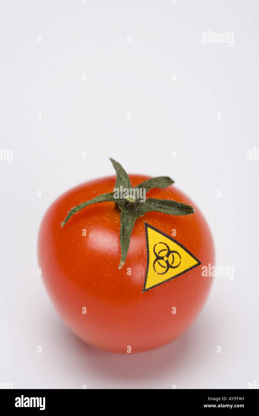 Biohazard warning sign on tomato Symbol genetic manipulated food Stock Photo
