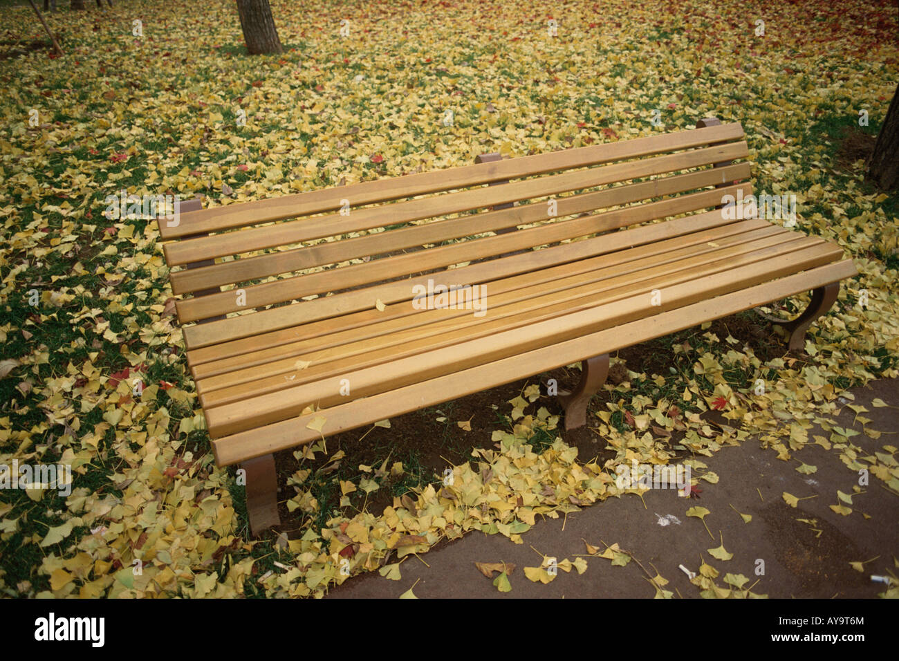 Fallen Leaves around Bench Stock Photo - Alamy