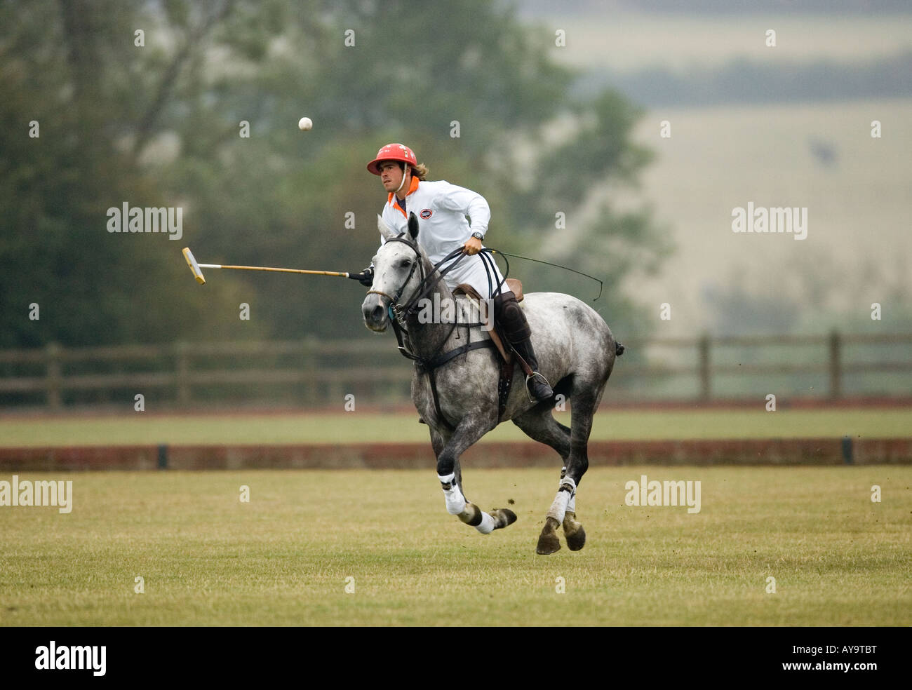 Polo player on horseback action Stock Photo