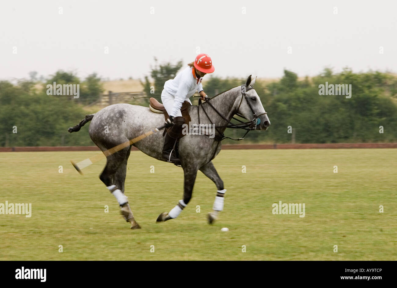 Polo player on horseback action Stock Photo