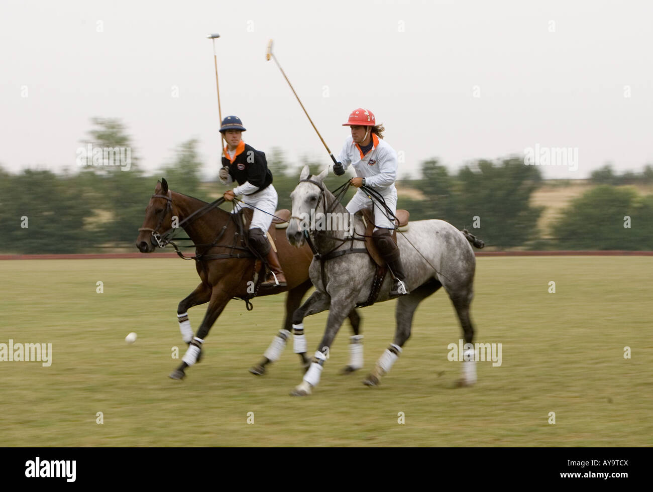 Polo players on horseback action Stock Photo