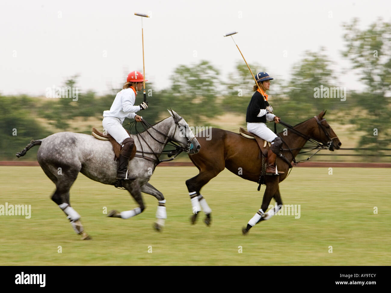Polo players on horseback action Stock Photo