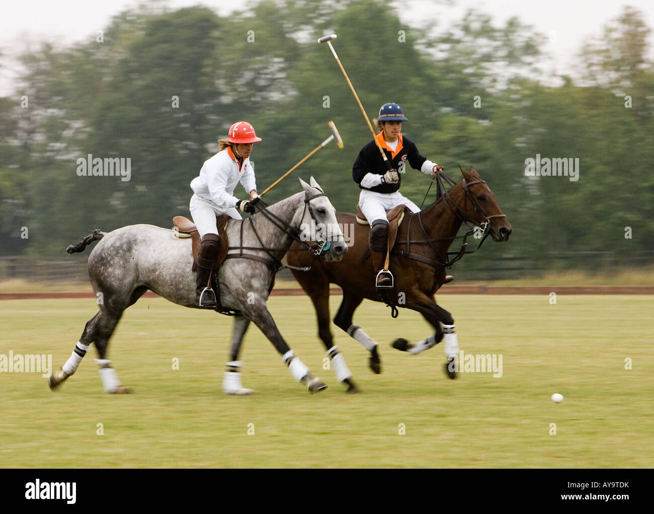 Polo players on horseback action Stock Photo