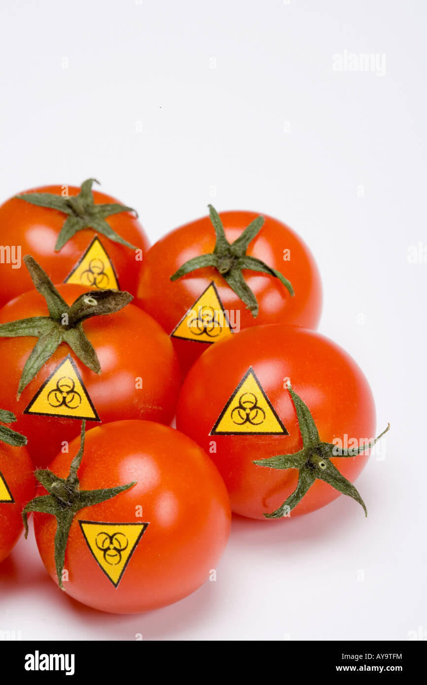 Biohazard warning sign on tomato Symbol genetic manipulated food Stock Photo