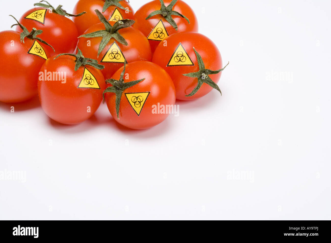 Biohazard warning sign on tomato Symbol genetic manipulated food Stock Photo