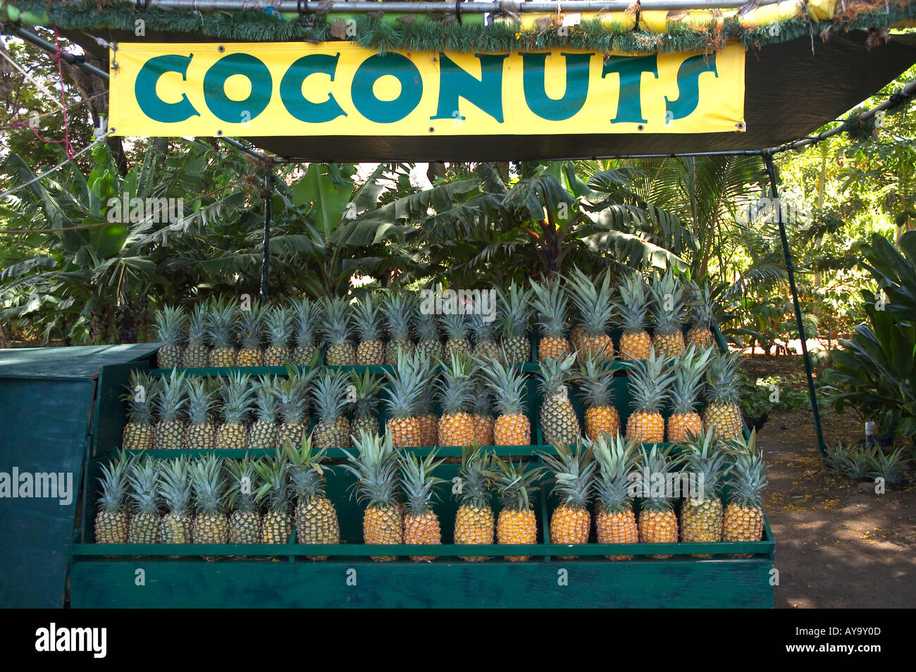 fruit stand Maui Stock Photo Alamy