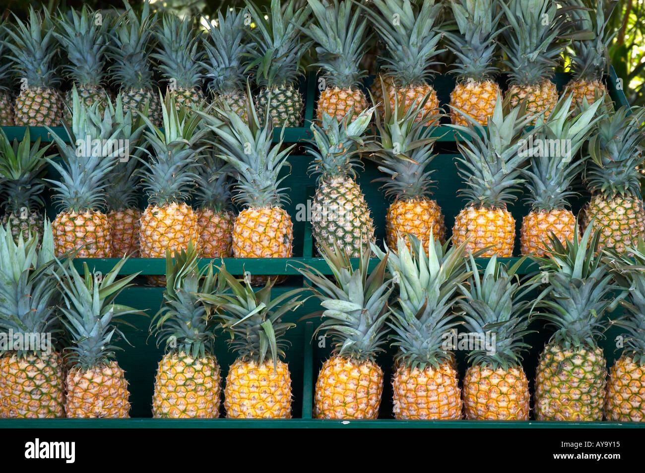 pineapples fruit stand Maui Stock Photo Alamy